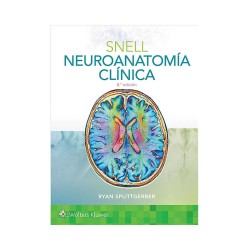 Neuroanatomía clínica.