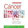 DeVita, Hellman y Rosenberg. Cáncer. Principios y práctica de oncología 9788419663085