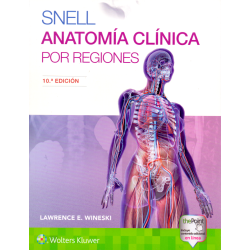 Snell. Anatomía clínica por regiones. 10 Ed. 2019 de Wineski 9788417602277