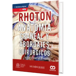 Anatomía craneal y abordajes quirúrgico