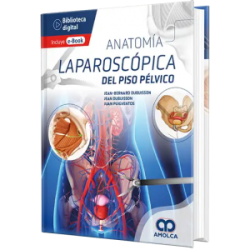 Anatomía laparoscópica del piso pélvico