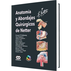 Anatomía y Abordajes Quirúrgicos de Netter.