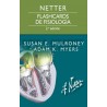 Netter. Flashcards de fisiología 9788413822136