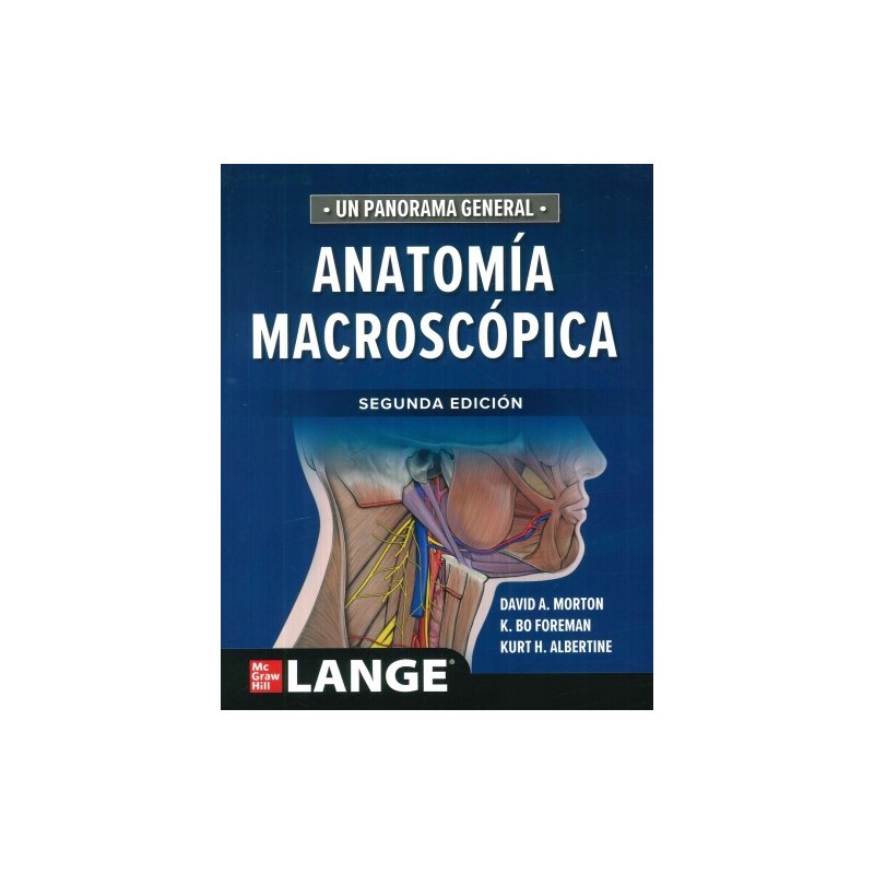 Morton: Anatomía Macroscópica