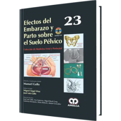 Efectos del Embarazo y Parto sobre el Suelo Pélvico No. 23.