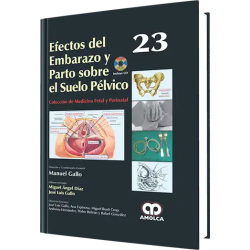 Efectos del Embarazo y Parto sobre el Suelo Pélvico No. 23.