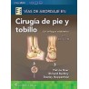 Vías de abordaje de cirugía de pie y tobillo. Un enfoque anatómico 9788419284891